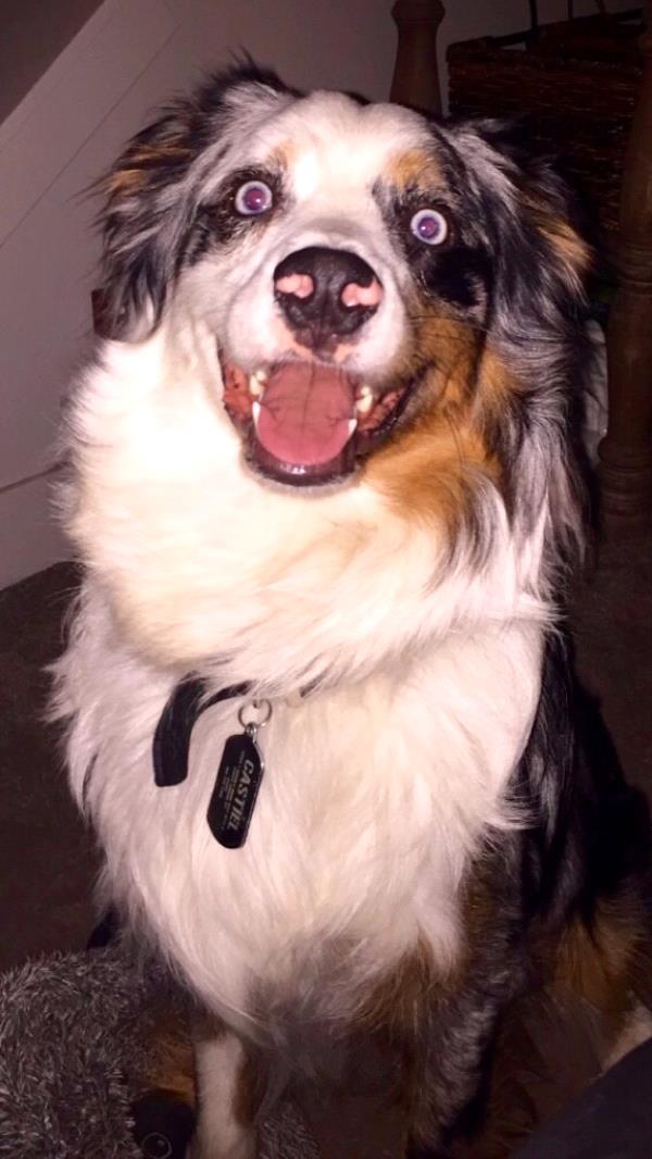 /Images/uploads/Humane Society of Utah/HSUCalendar/entries/558thumb.jpg